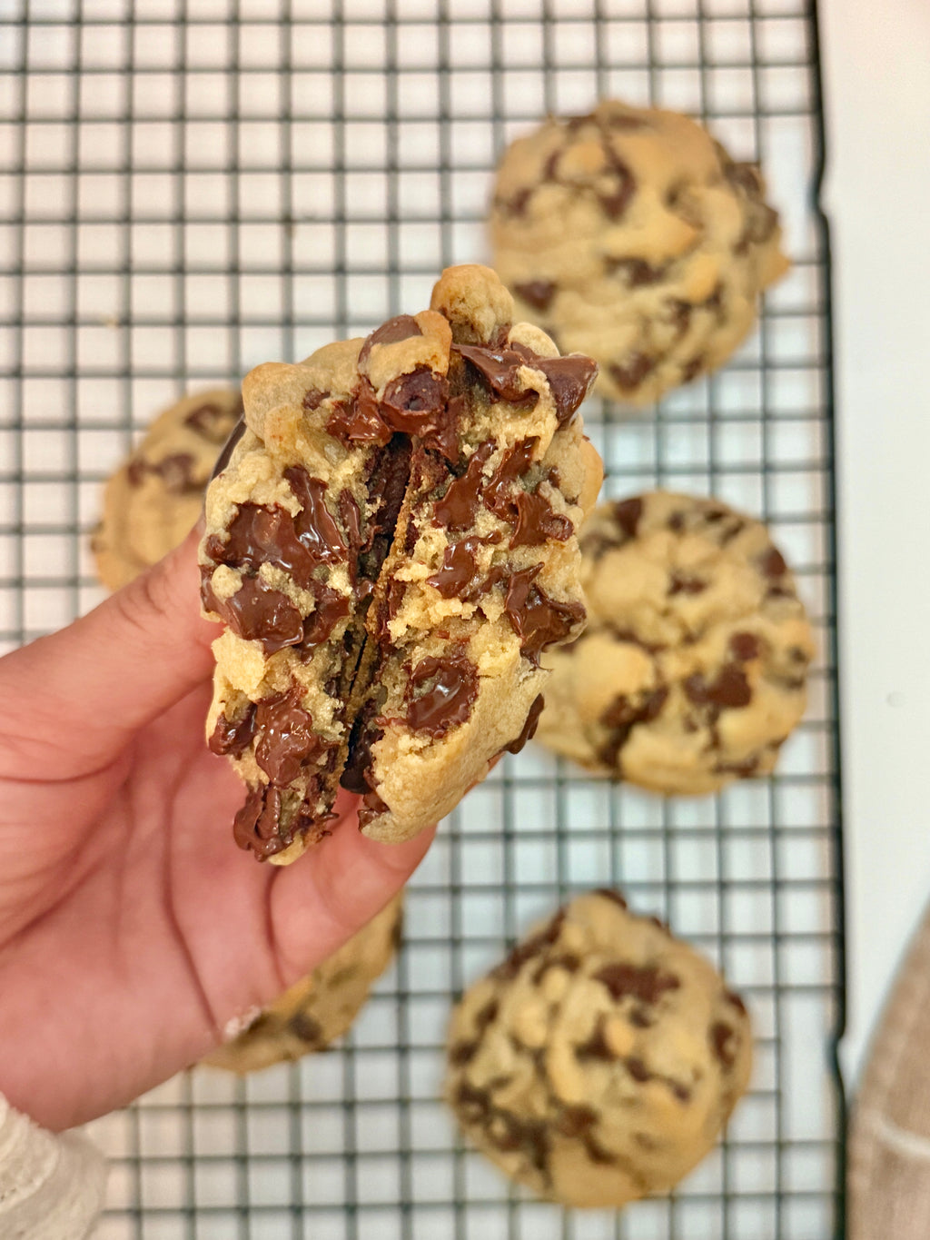 Chocolate Chip Cookies