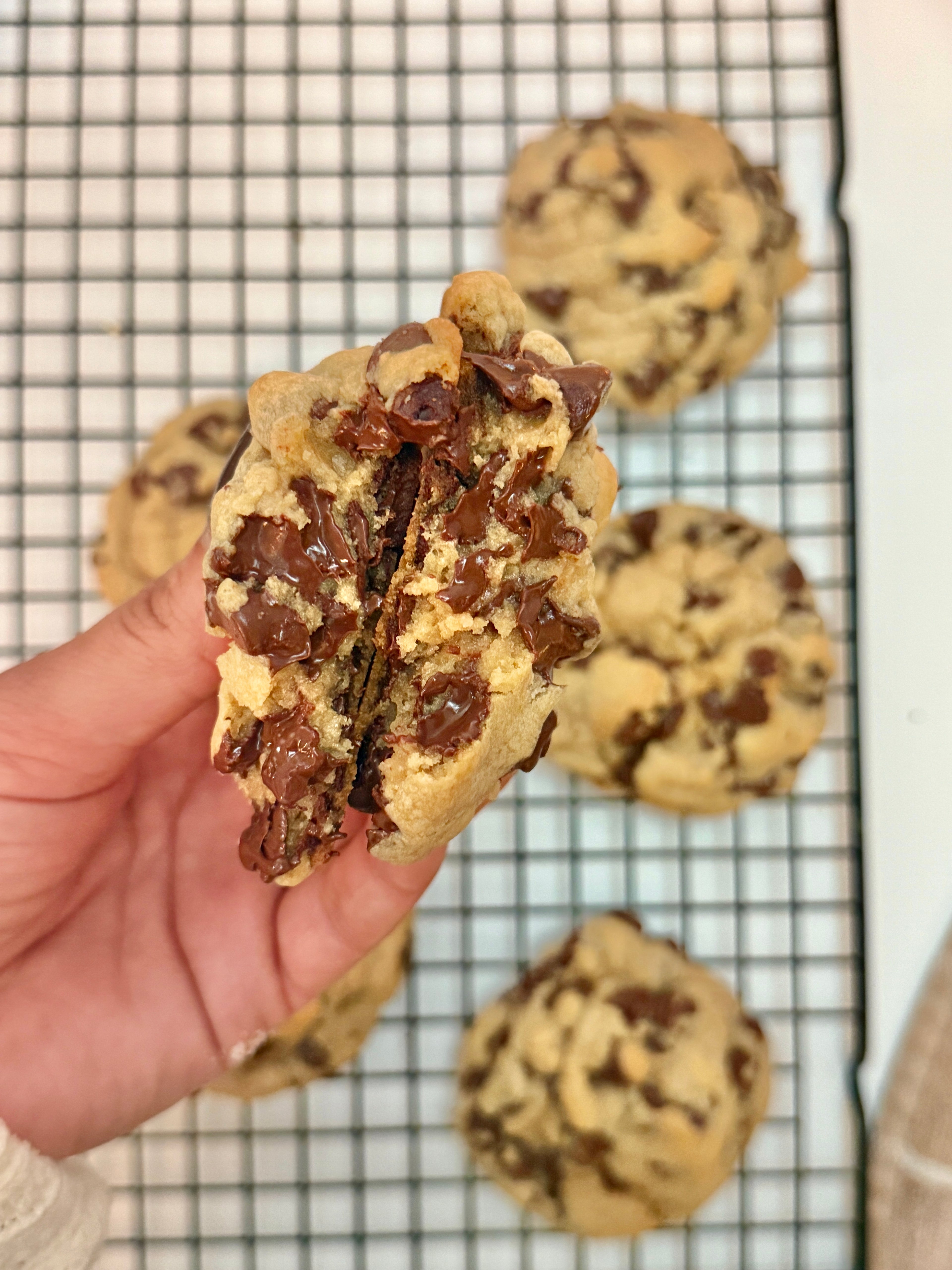 Chocolate Chip Cookies