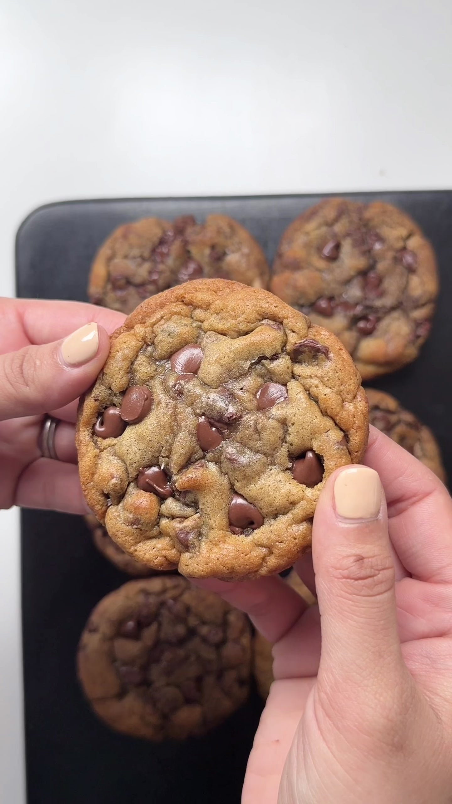 Chocolate Chip Cookies